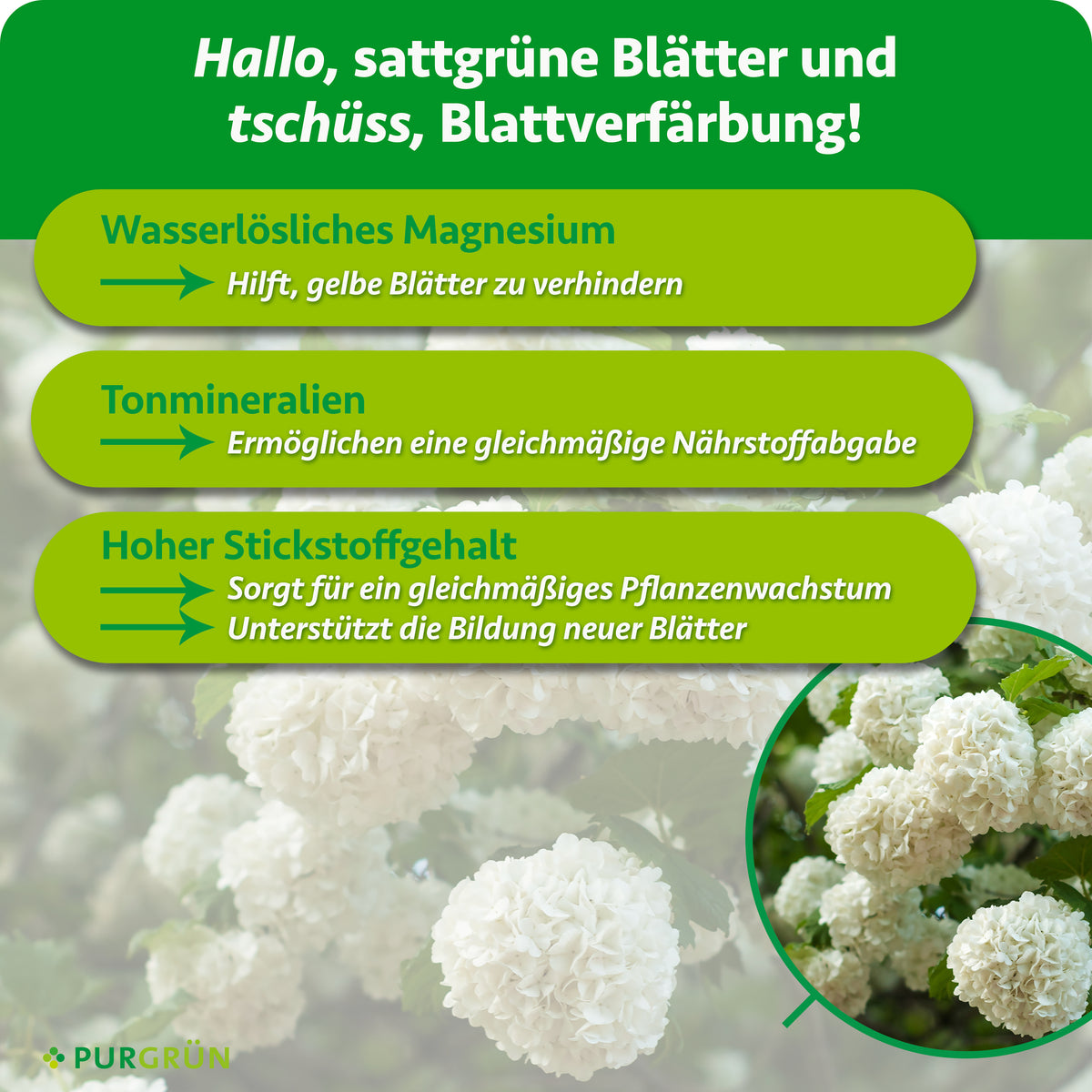 Wasserlösliches Magnesium hilft, gelbe Blätter zu verhindern, Tonmineralien ermöglichen eine gleichmäßige Nährstoffabgabe und hoher Stickstoffgehalt unterstützt Pflanzenwachstum und Blattbildung.