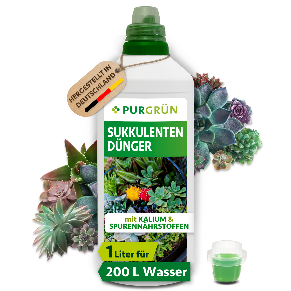 Purgrün Sukkulenten-Dünger in der 1-Liter-Flasche mit Dosierkappe, umgeben von Sukkulenten; reicht für ca. 200 Liter Gießwasser.