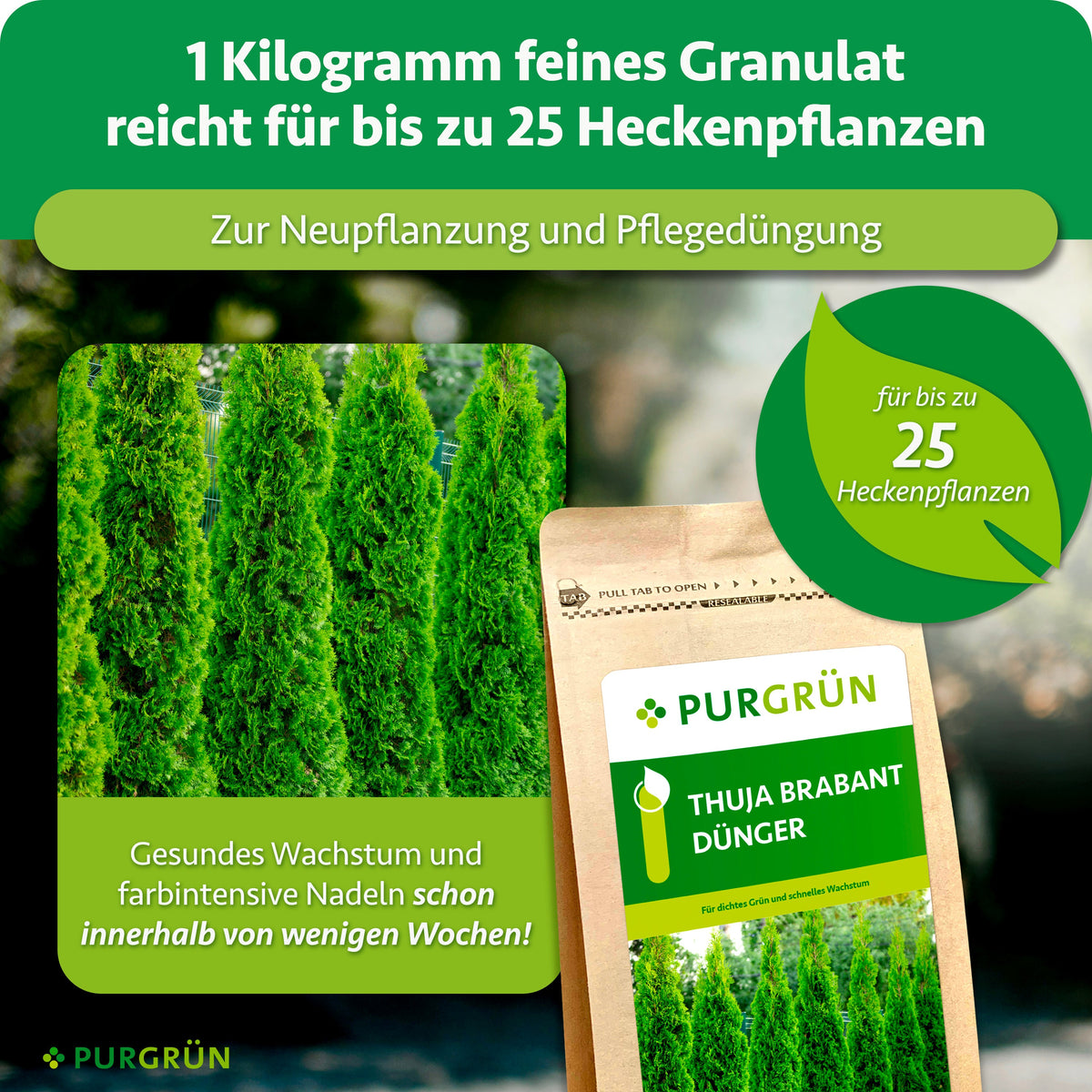 1 kg feines Granulat reicht bei Neu- und Pflegedüngung für bis zu 25 Heckenpflanzen.