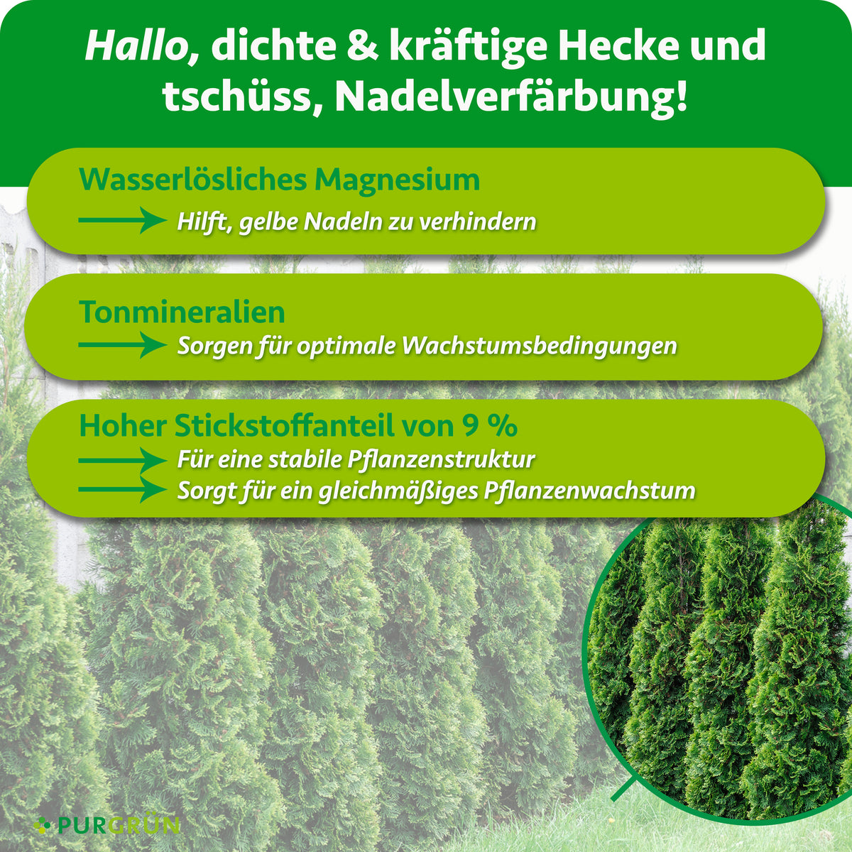 Wasserlösliches Magnesium hilft, gelbe Nadeln zu verhindern, Tonmineralien sorgen für optimale Wachstumsbedingungen. 9 % Stickstoff unterstützen eine stabile Pflanzenstruktur und gleichmäßiges Wachstum.