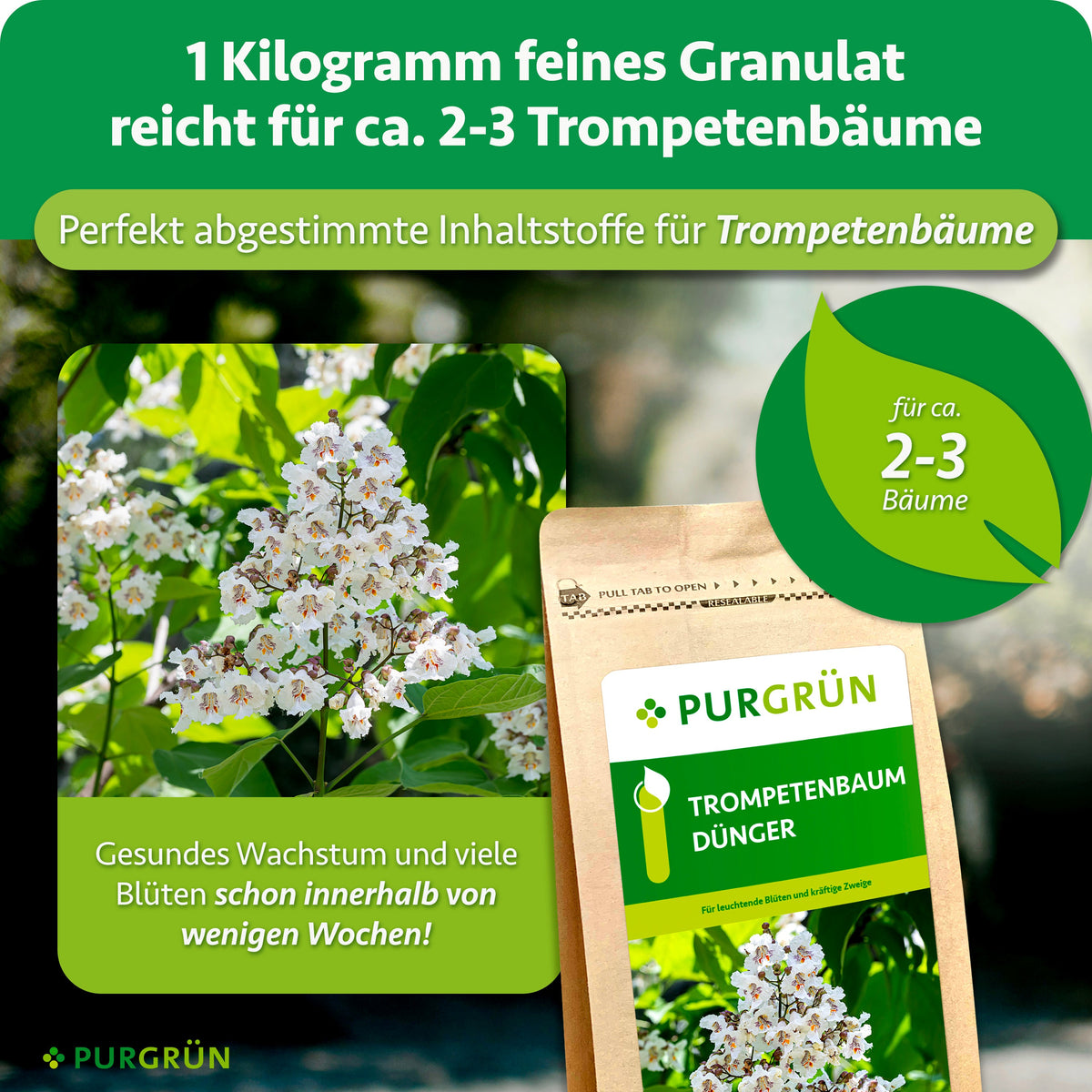 1 kg feines Granulat reicht für ca. 2–3 Trompetenbäume und enthält auf sie abgestimmte Inhaltsstoffe. Gesundes Wachstum und viele Blüten schon innerhalb weniger Wochen.