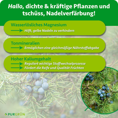 Wasserlösliches Magnesium hilft, gelbe Nadeln zu verhindern, Tonmineralien ermöglichen eine gleichmäßige Nährstoffabgabe und hoher Kaliumgehalt fördert Stoffwechselprozesse, Reife und Fruchtqualität.