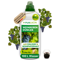 Eine 1-Liter-Flasche Purgrün Bio-Weinreben-Dünger ist abgebildet, dahinter Trauben und Weinreben. Das Etikett weist NPK 3+2+6 aus, ist in Deutschland hergestellt, organisch-mineralisch und für ca. 100 Liter Wasser geeignet.
