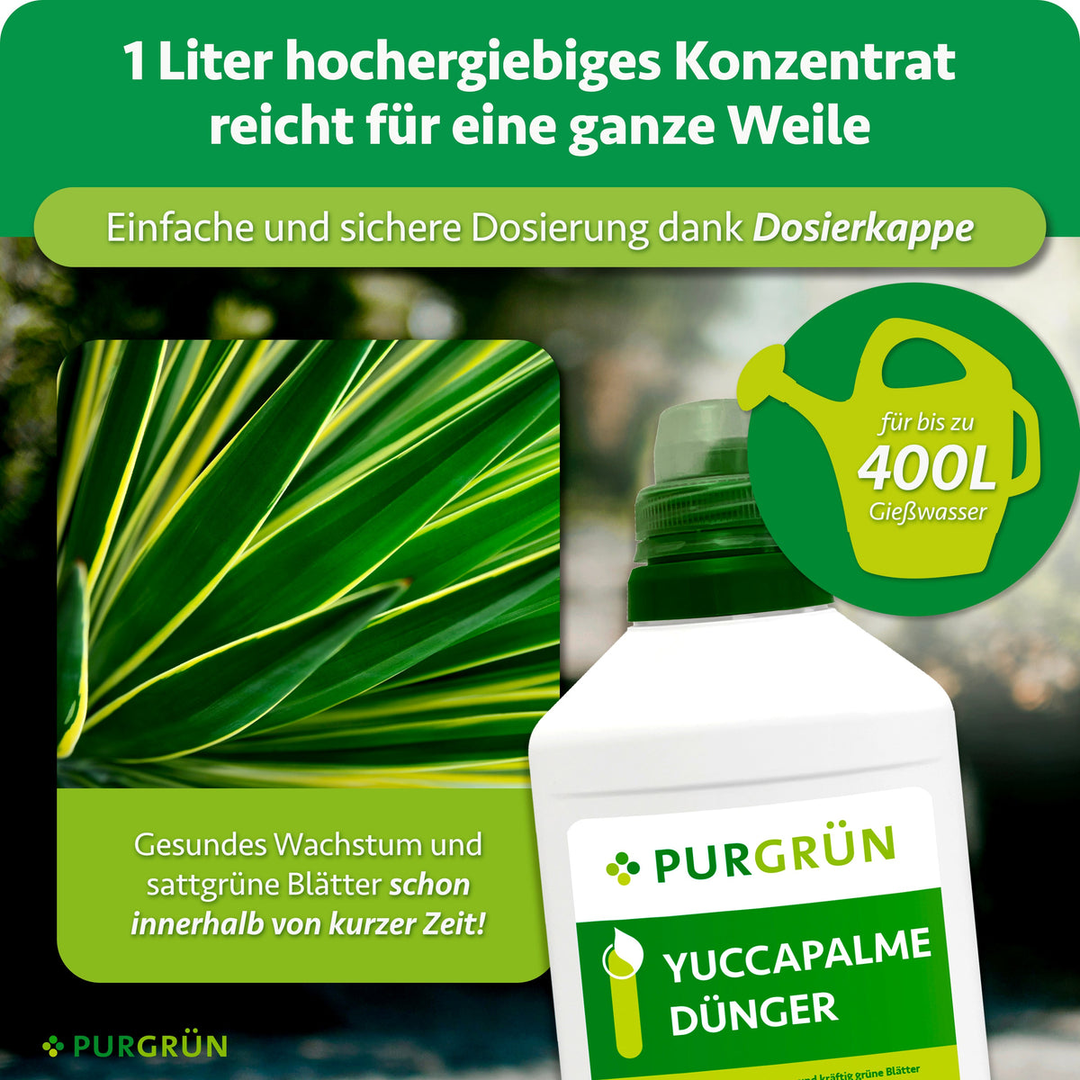 1 Liter hochergiebiges Konzentrat für bis zu 400 Liter Gießwasser; die Dosierkappe erleichtert die sichere Dosierung.