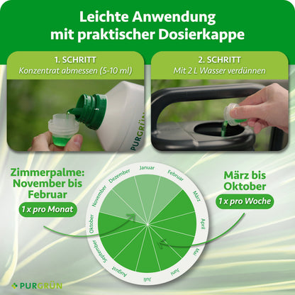 Anwendung: 5–10 ml Konzentrat abmessen und mit 2 L Wasser verdünnen. Zimmerpalmen von November bis Februar 1 × pro Monat, von März bis Oktober 1 × pro Woche düngen.