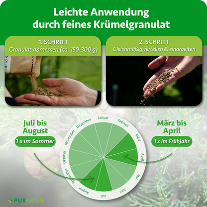 Anwendung in zwei Schritten: ca. 150–300 g Granulat abmessen, gleichmäßig verteilen und einarbeiten. Je einmal im März bis April und im Juli bis August düngen.